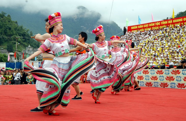 La Journée culturelle des ethnies du Vietnam - ảnh 1